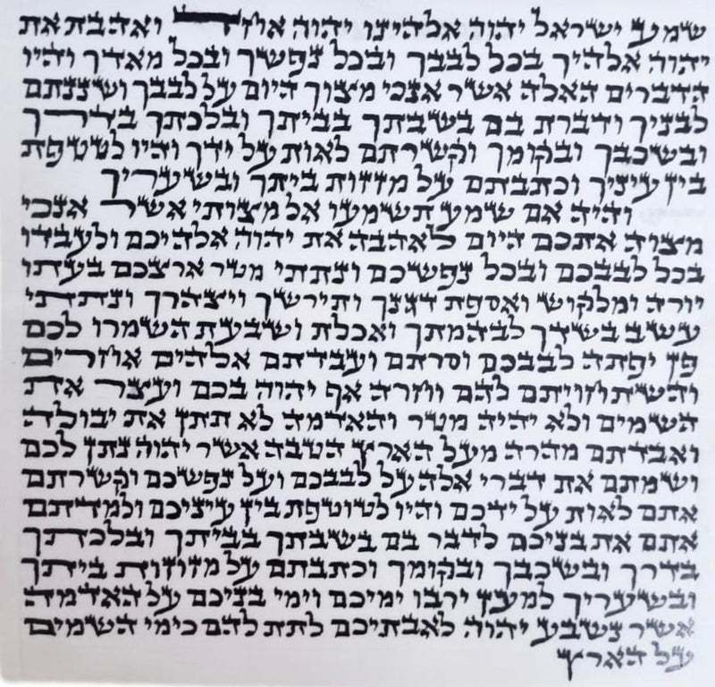 קלף מזוזה אשכנזי כשר 12 ס״מ
