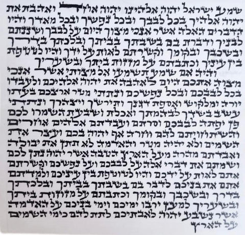 קלף מזוזה אשכנזי כשר 12 ס״מ